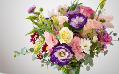 Wie wähle ich die richtige Blumenfarbe?